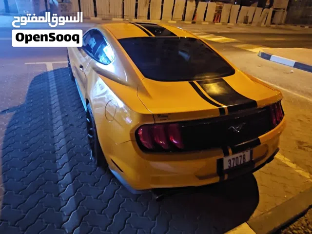 2019 فورد موستانج EcoBoost