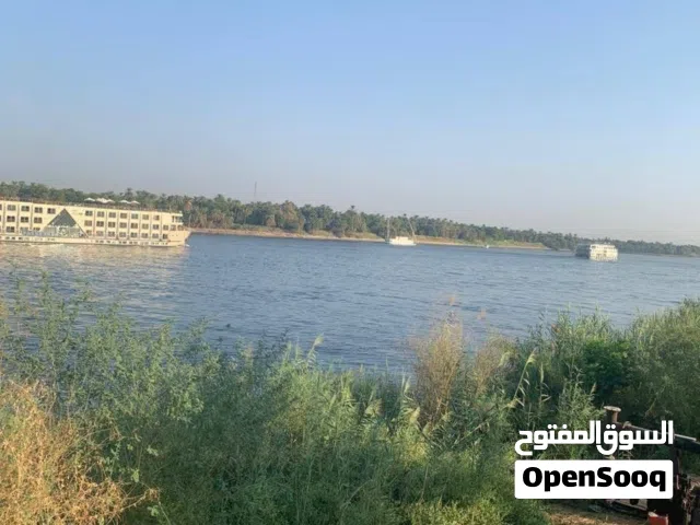 Farm Land for Sale in Ismailia Fayed