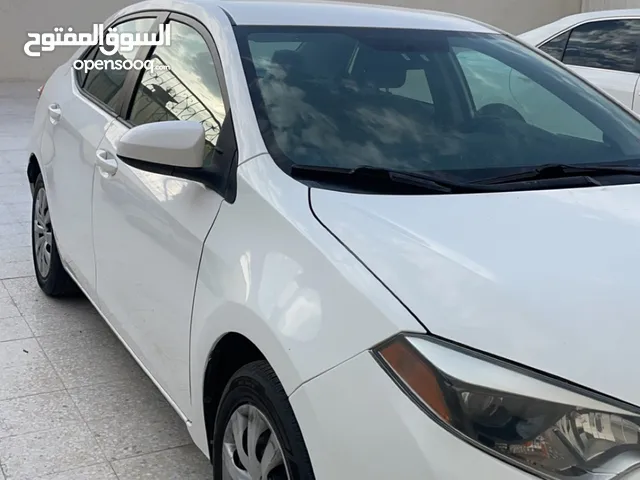 Used Toyota Corolla in Abu Dhabi