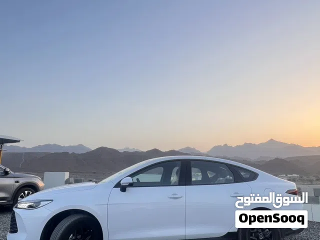 2025 بي واي دي كين