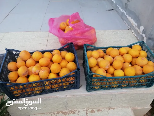 برتقال شفشي يجي عصير او علاج للعلم مافيشي مواد كيميائية