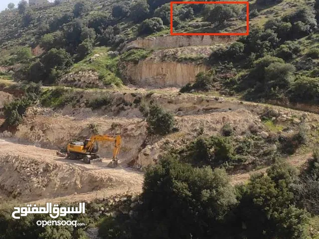 ارض واد رحال