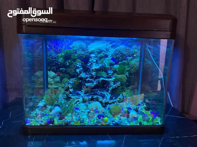 حوض أسماك الزينة مع جميع لوازمه بحالة جيدة جدا