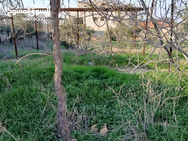 Residential Land for Sale in Zarqa Rajm Al Shawk