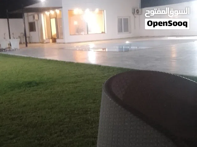 موجود 5 هكتار للبيع في رئيسي طريق وادي الربيع