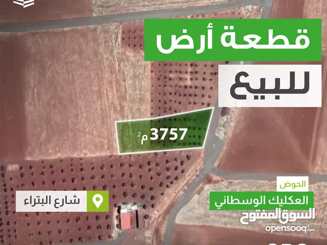 Farm Land for Sale in Irbid Al Sareeh