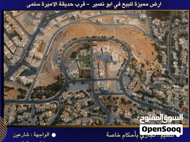 Residential Land for Sale in Amman Abu Nsair
