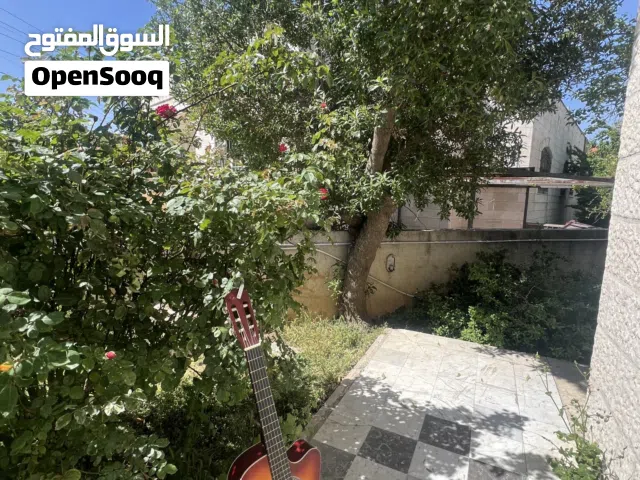 جيتار ( روز / Rooz ) كلاسيك