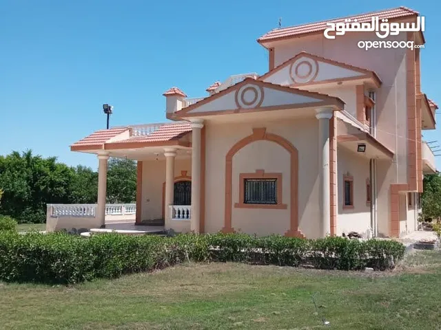 500 m2 More than 6 bedrooms Villa for Sale in Alexandria Borg al-Arab