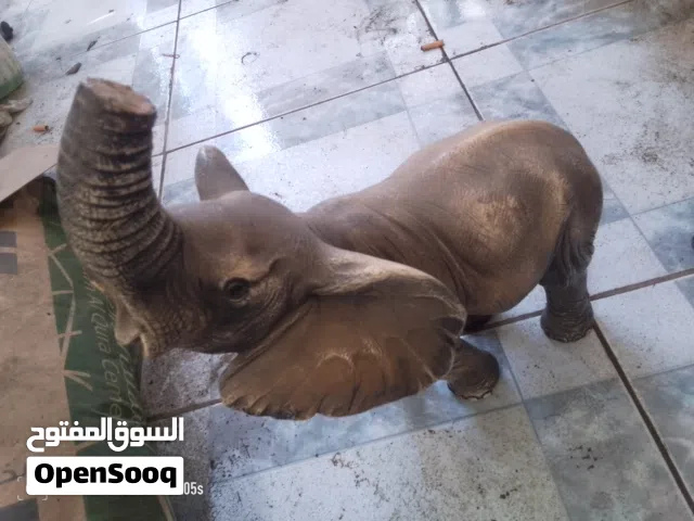 مجسم فيل من عاج الفيل اصلي افريقي