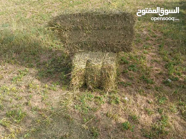 صفصفه للبيع نظيفة درجة ( بدون عشب )