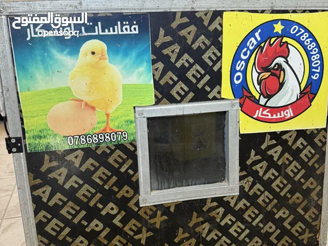 فقاسة اوسكار للبيع تاخذ 160 بيضة