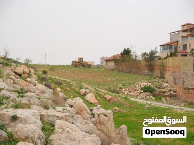 Residential Land for Sale in Amman Naour
