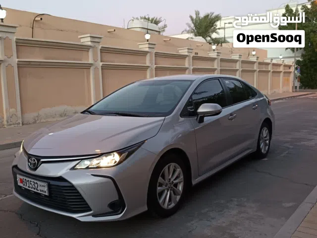 Toyota Corolla xli 2024