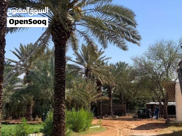 Residential Land for Sale in Tripoli Souq Al-Juma'a