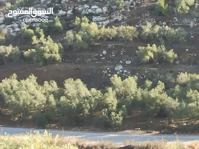 Commercial Land for Sale in Tulkarm Bal'a