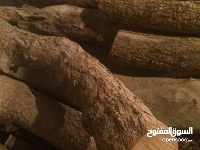 خشب ارز نادر جدا جدا عمره اكتر من 40 سنة للبيع