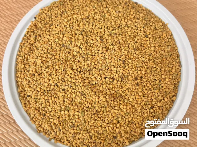 حلبة عمانية