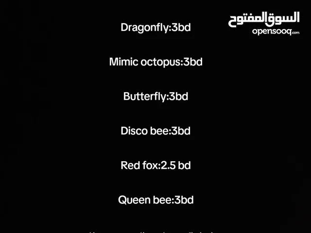 Roblox Accounts and Characters for Sale in Muharraq
