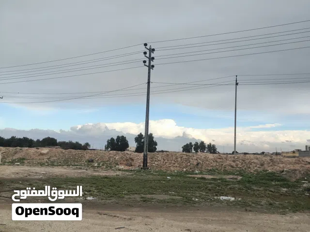 Farm Land for Rent in Basra Khor Al Zubair