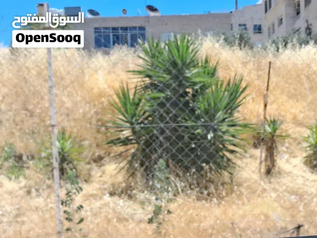 Residential Land for Sale in Amman Al Rabiah