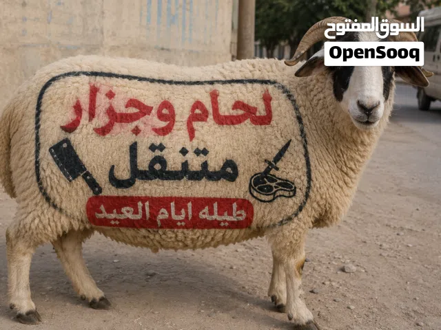 لحام وجزار متنقل طيله ايام العيد