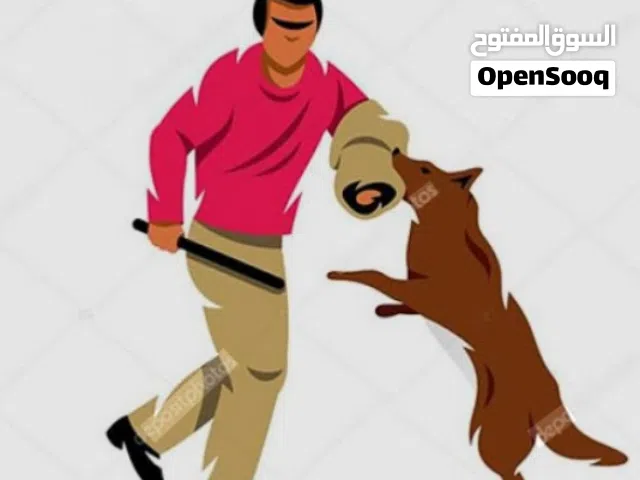اكاديميه تدريب كلاب