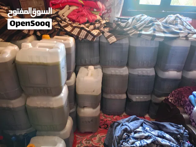 زيت زيتون سيناوي بكر ممتاز للبيع جمله