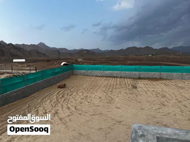 Studio Farms for Sale in Buraimi Mahdah