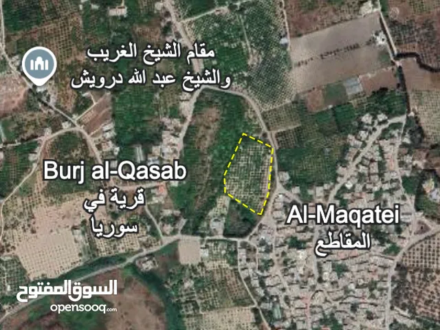 Mixed Use Land for Sale in Latakia Other