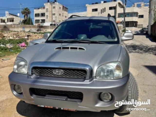 جب هنداي سنتفيه 2002