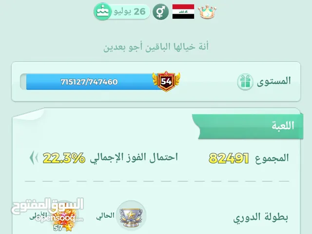 حساب لودو تم انشاءه في 2020