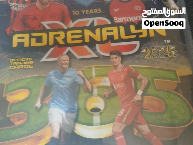 panini album 2025 with gb al limited edition