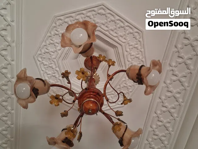 beautiful fanoos for living room / light / decoration /5 lights bulb/