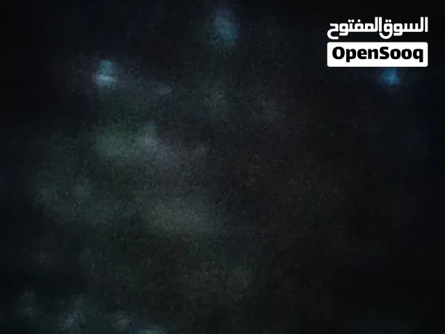 مطلوب عصفور بقلينو 3 طروف5 دنار0