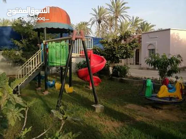 3 Bedrooms Farms for Sale in Al Batinah Al Masnaah