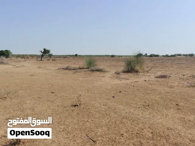 للبيع أرض زراعية مساحة 1000 فدان ن