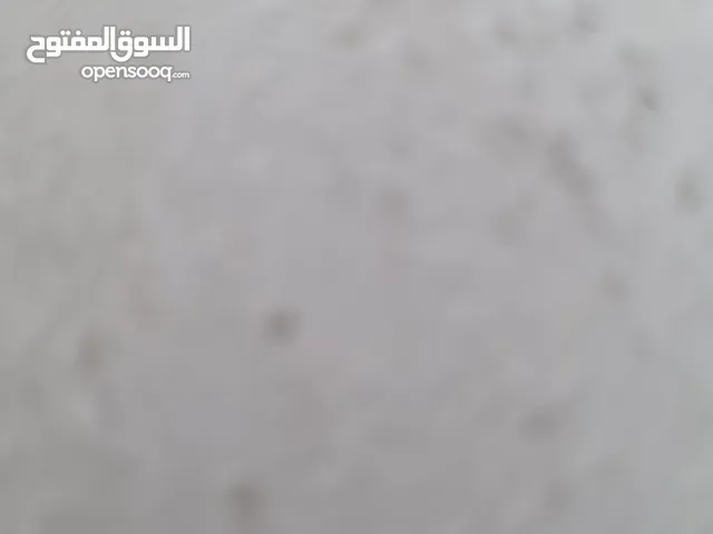 شقة للاجار