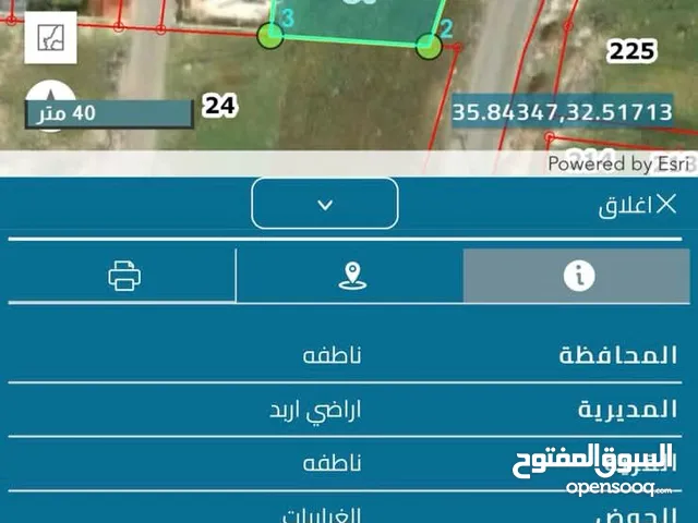 Commercial Land for Sale in Irbid Natifa