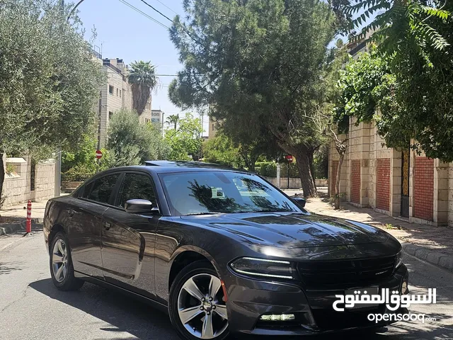 Used Dodge Charger in Amman