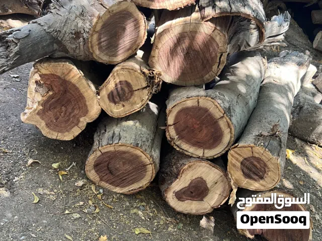 حطب سمر نظيف جاهز