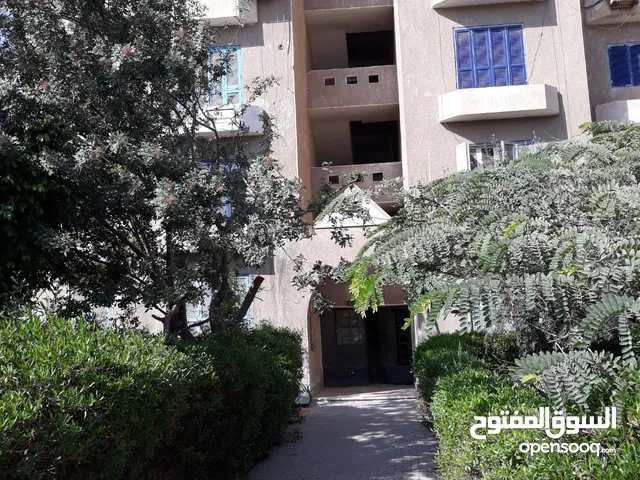 70 m2 2 Bedrooms Apartments for Sale in Cairo New Cairo
