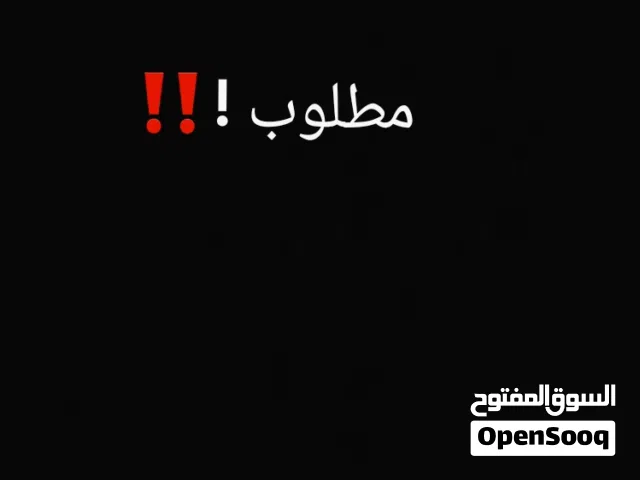 مطلوب فرخ روز أو كوكتيل أو فيشر مكان بنغازي