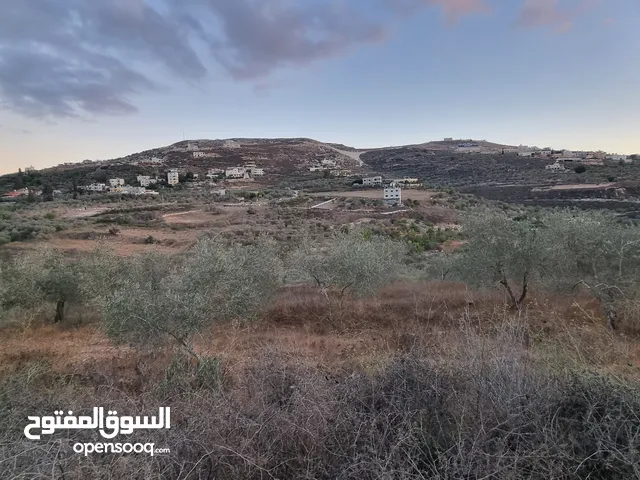 Residential Land for Sale in Nablus Other