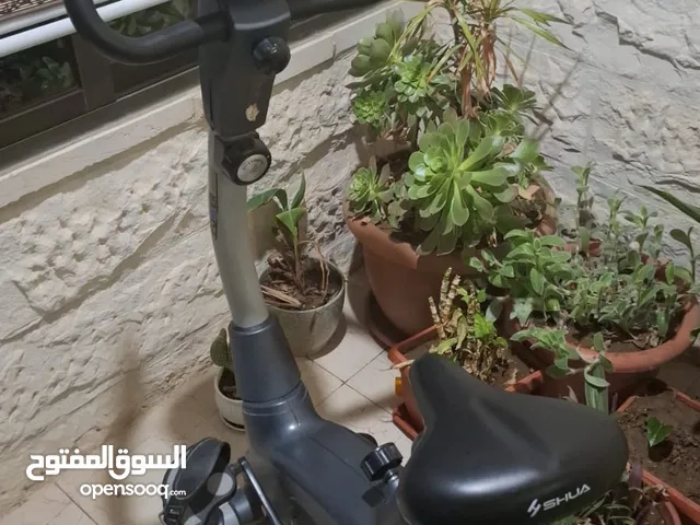 بسكليت SHUA
