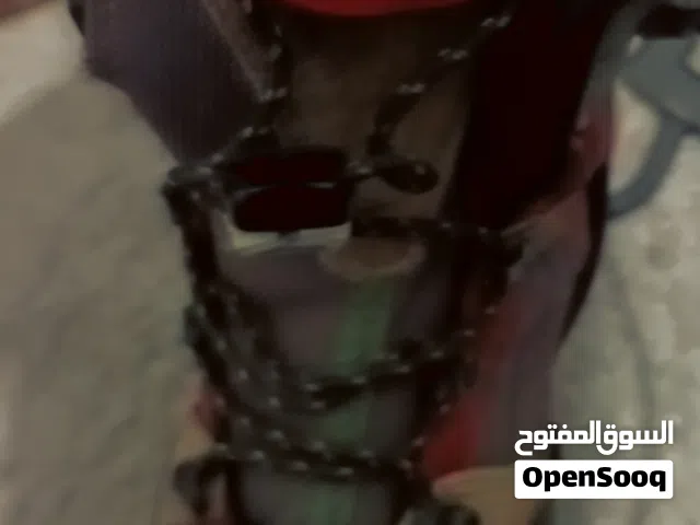 سكوترمستعمل