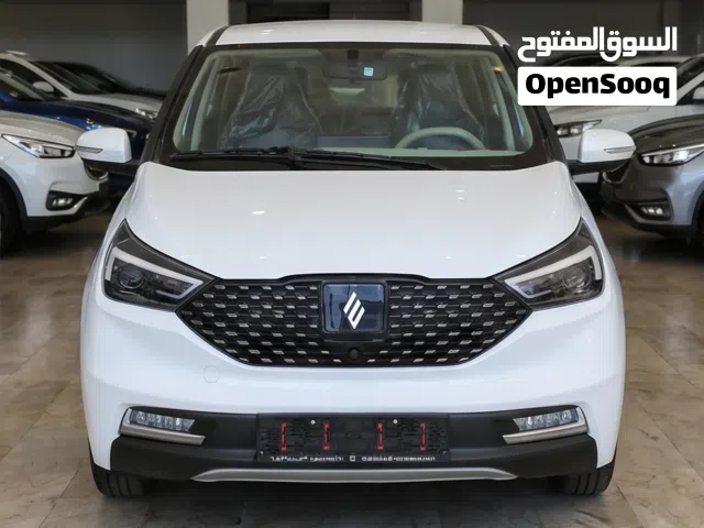 2026 جاي ام اي في EV3