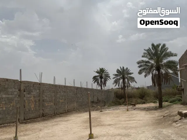توفر نص دونم في الجزيرة