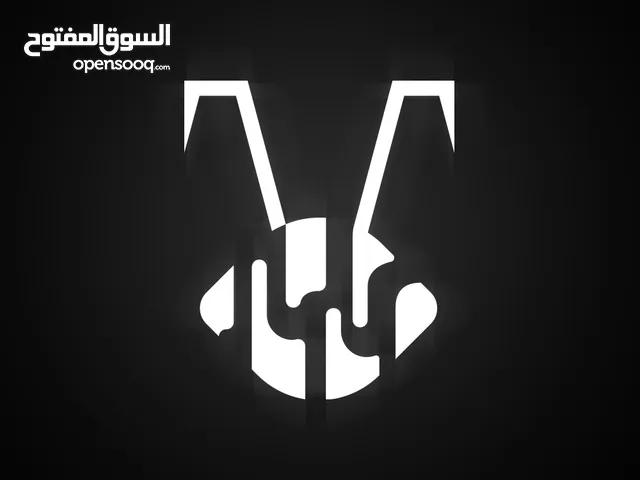 مطلوب شريك للاستثمار بمشروع خاص بصناعة ألعاب الكومبيوتر.