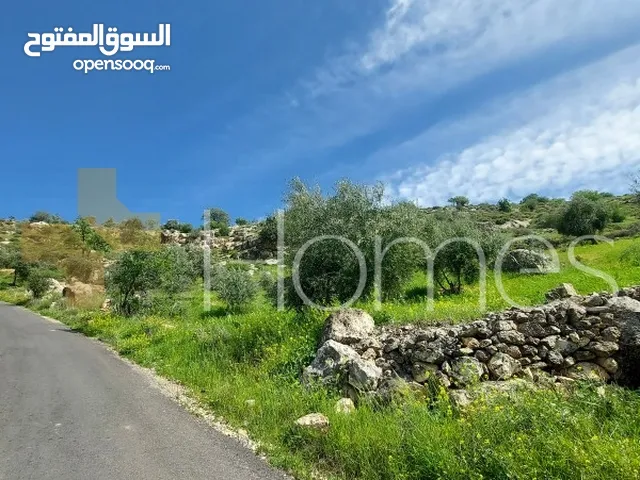 Residential Land for Sale in Amman Marj El Hamam